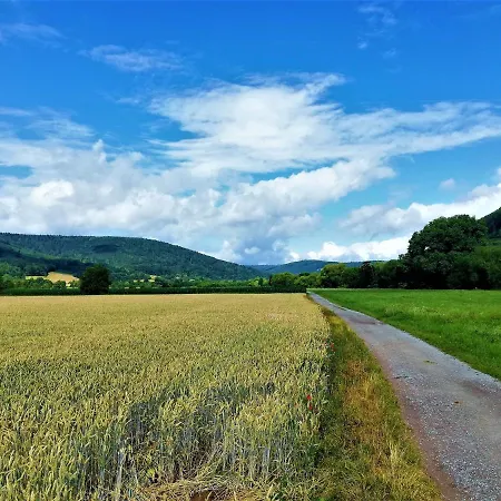 Apartamento Albertina Daire Kleinheubach